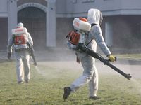 Акарицидная обработка борьба уничтожение клещей